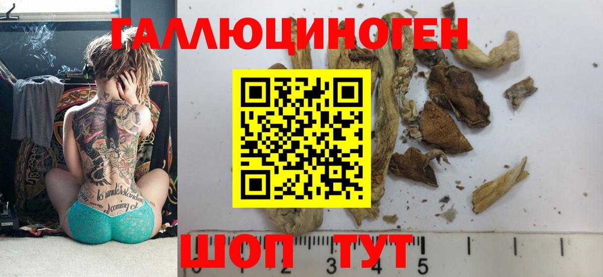Псилоцибиновые грибы GOLDEN TEACHER  купить наркотики цена  Красноярск  Вход с VPN 