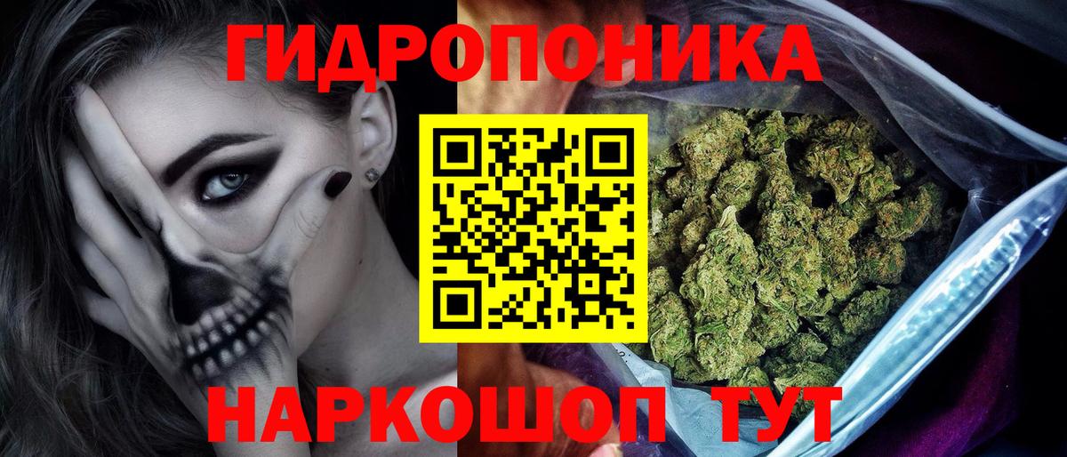 Конопля ГИДРОПОН  Вход с VPN  Красноярск  Бошки Шишки Bruce Banner 